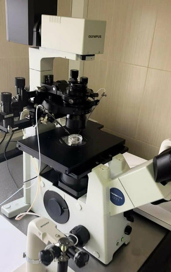 Клиника «Аист»