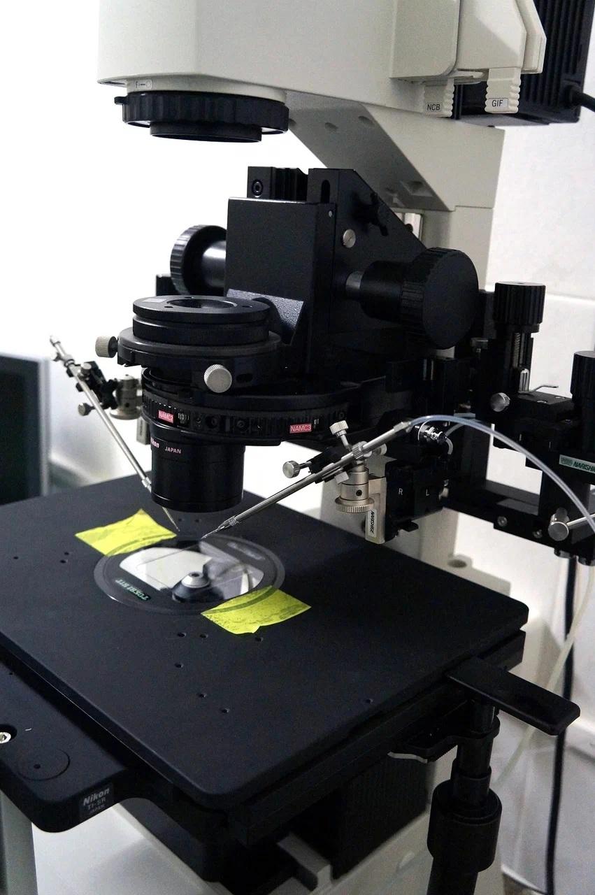 Центр вспомогательной репродукции «Партус» (Центр ЭКО)