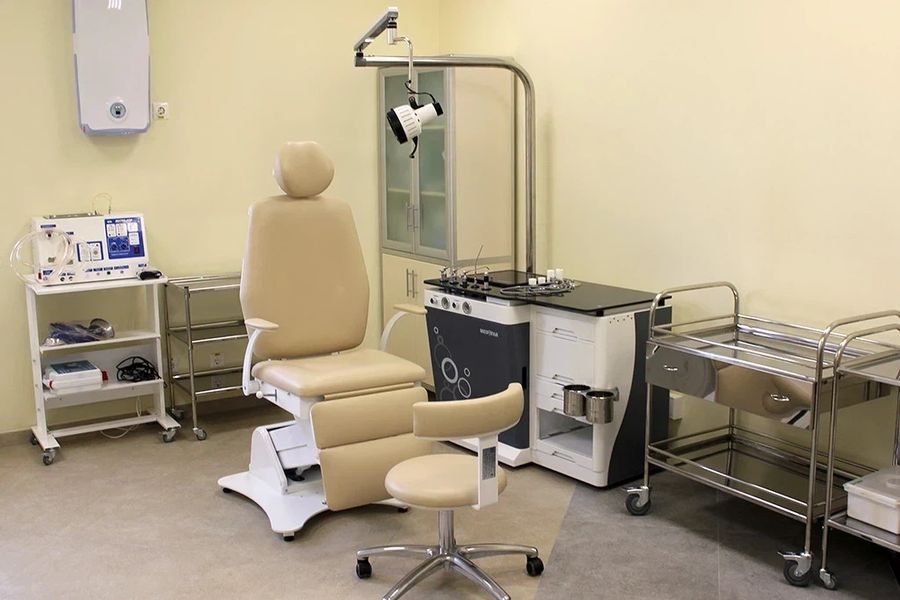 «Гармония» на Репина