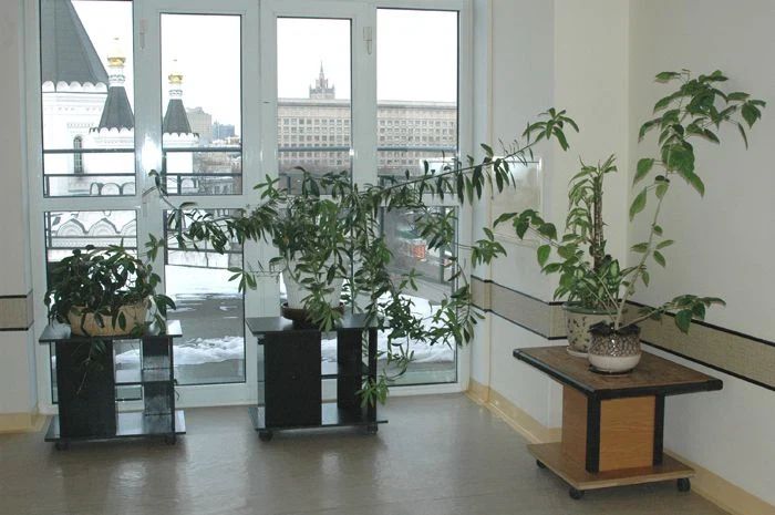 Клиника акушерства и гинекологии им. Снегирева