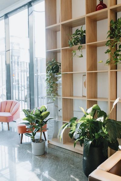 «Клиника Фомина»