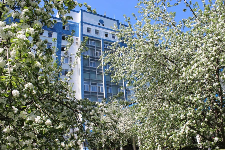 Лечебно-реабилитационный центр (ЛРЦ) Минздрава России