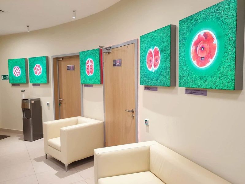 Медицинский центр «Мак ЭКО»